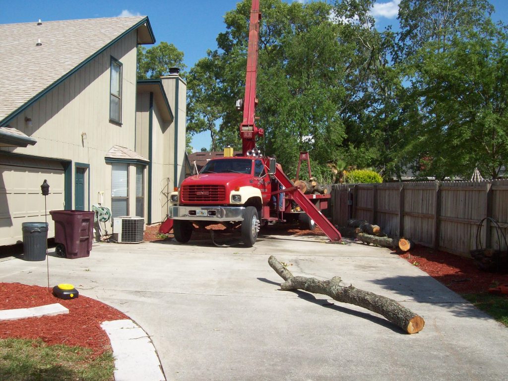 "The process of cutting or removing trees with help of crane."