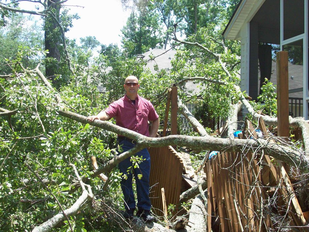 "A man standing besides a broken tree caused due to storm or other factors."