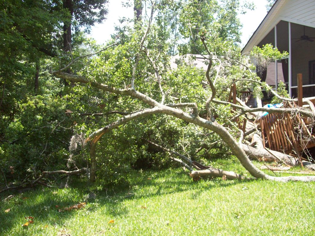 "We get rid of all the leaned trees or broken branches and other mess that is created after a storm. There is a 24*7 service available for these kind of emergencies."