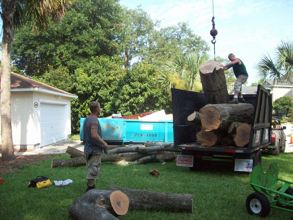 "Collecting the cut pieces of a tree and loading it in a vehicle."