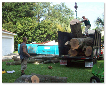 "Removal of unwanted tree debris in all kind of premises. It's convenient,cost-effective and customer-friendly services makes sure that no debris is left behind during the service. "